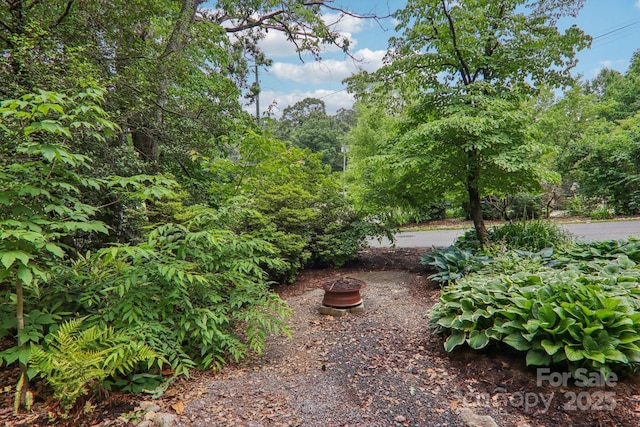 416 S Cherokee Ave, Black Mountain, NC 28711 - view of yard