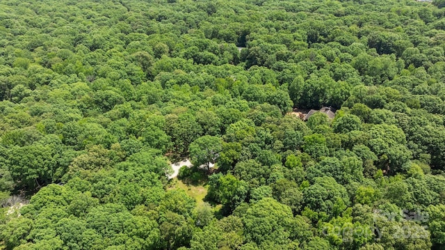 bird's eye view of a forest