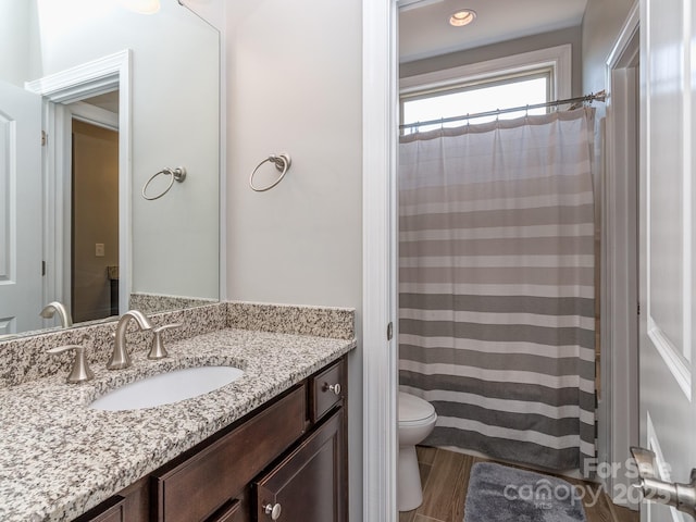 full bath featuring vanity, curtained shower, and toilet