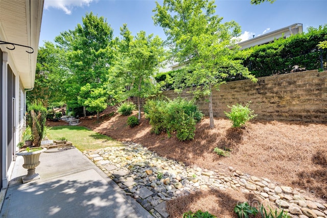 1033 Knob Creek Ln, Fort Mill, SC 29708 - photo 41