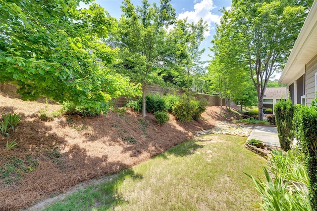 1033 Knob Creek Ln, Fort Mill, SC 29708 - photo 44