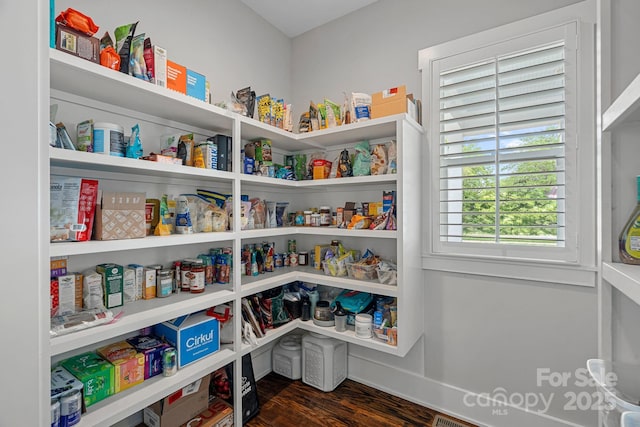 309 Catawba Ave, Davidson, NC 28036 - view of pantry