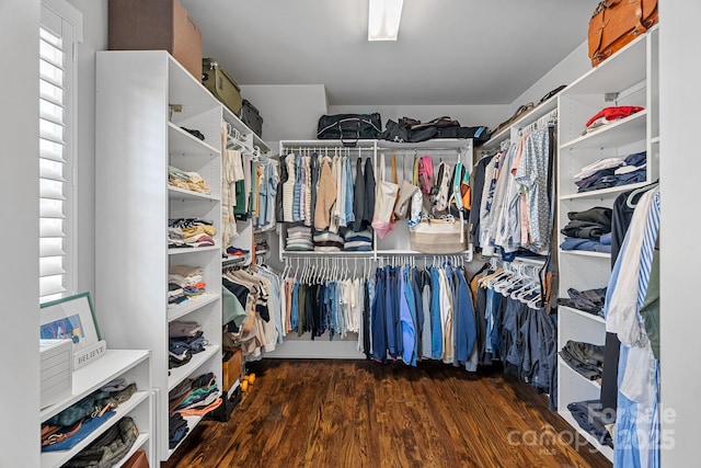 309 Catawba Ave, Davidson, NC 28036 - walk in closet with wood finished floors