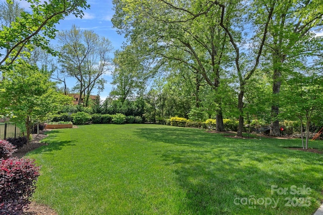 309 Catawba Ave, Davidson, NC 28036 - view of yard