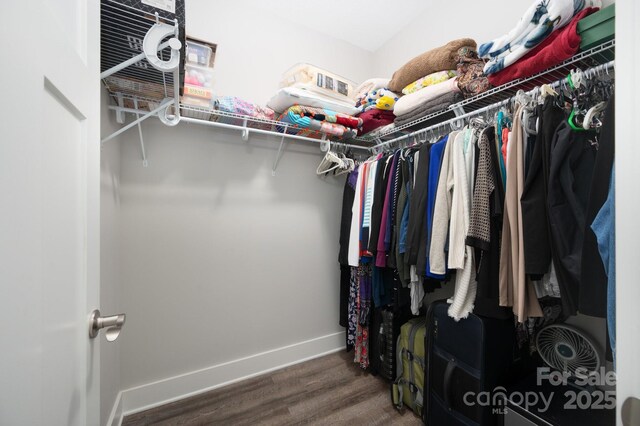 walk in closet with wood finished floors