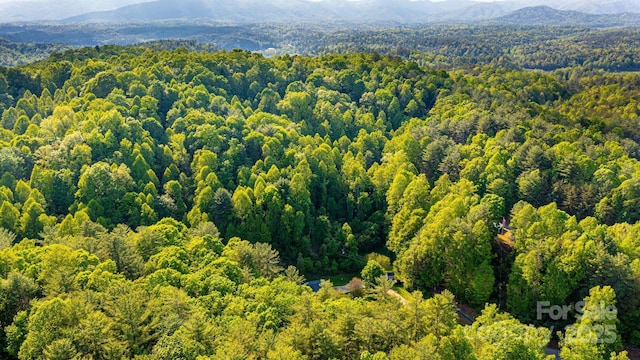 1300 Math Pl, Lenoir, NC 28645 - drone / aerial view with a view of trees and a mountain view