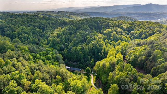 1300 Math Pl, Lenoir, NC 28645 - aerial view featuring a mountain view and a forest view