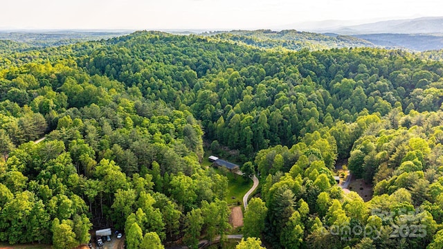 1300 Math Pl, Lenoir, NC 28645 - bird's eye view featuring a mountain view and a wooded view