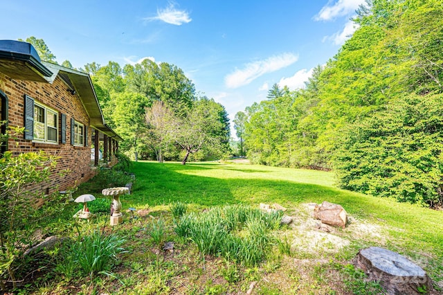 1300 Math Pl, Lenoir, NC 28645 - view of yard