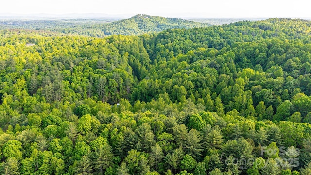 1300 Math Pl, Lenoir, NC 28645 - aerial view with a mountain view and a forest view