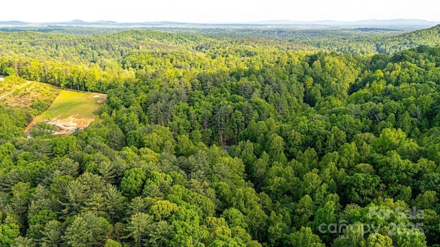 1300 Math Pl, Lenoir, NC 28645 - birds eye view of property with a forest view