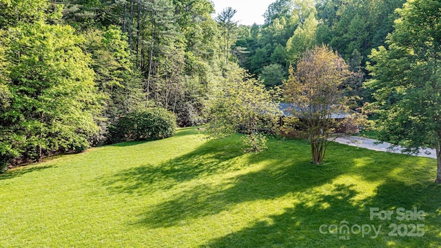 1300 Math Pl, Lenoir, NC 28645 - view of yard featuring a wooded view