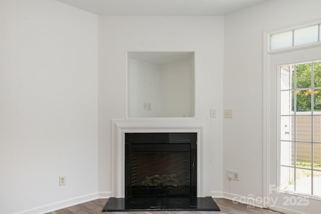 details featuring baseboards, wood finished floors, and a fireplace with raised hearth