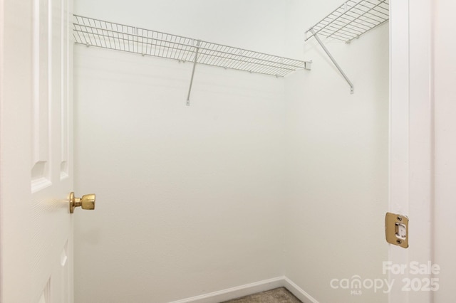 view of walk in closet