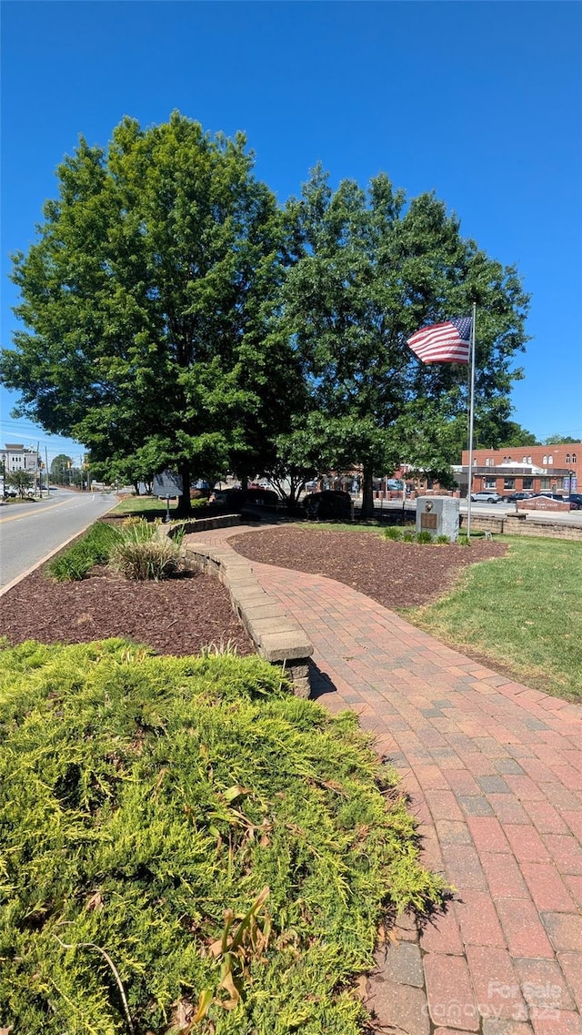 110 Canary Ln Unit 3, Mooresville, NC 28115 - view of property's community