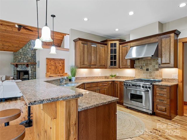 14 Sweet Gum Hl, Fletcher, NC 28732 - kitchen featuring wall chimney exhaust hood, high end range, a peninsula, light wood finished floors, and recessed lighting