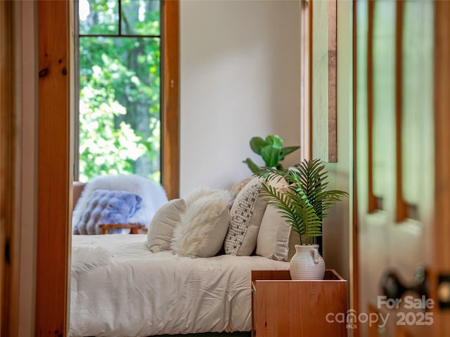 14 Sweet Gum Hl, Fletcher, NC 28732 - view of bedroom