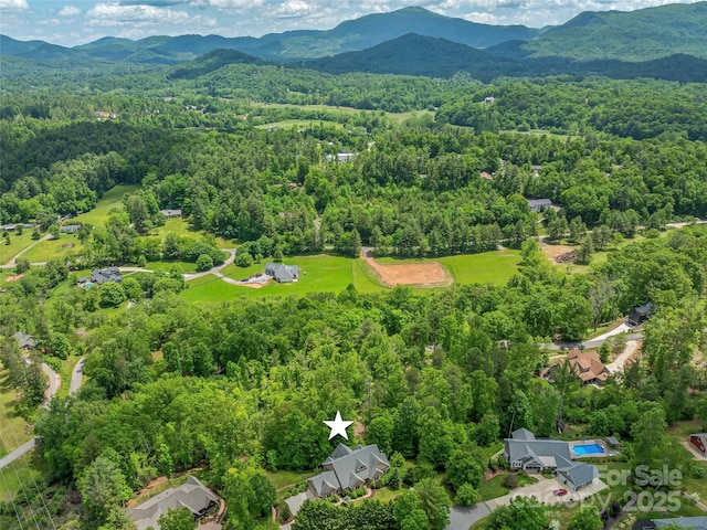 14 Sweet Gum Hl, Fletcher, NC 28732 - bird's eye view of a heavily wooded area and mountains