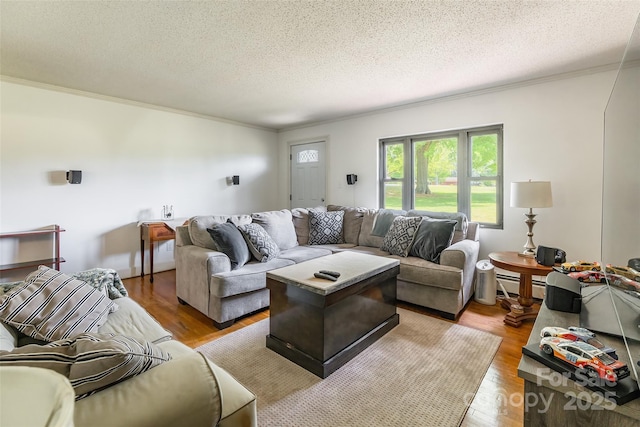 living area featuring a baseboard radiator, crown molding, a textured ceiling, and light wood-type flooring