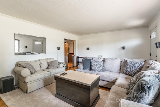 living room featuring wood finished floors, a textured ceiling, and crown molding