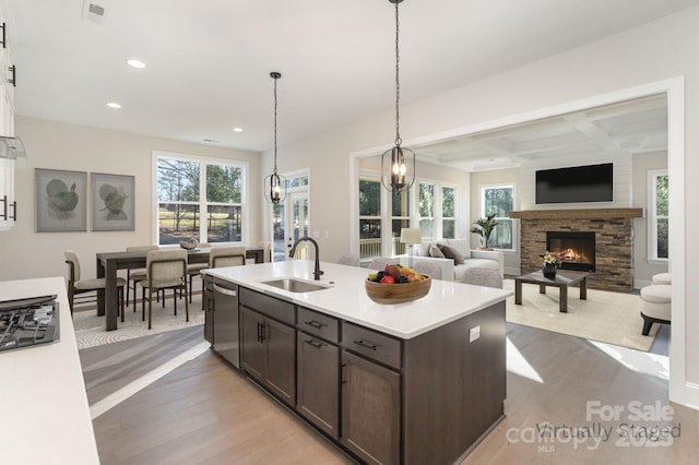 kitchen featuring dark brown cabinetry, appliances with stainless steel finishes, a sink, and light wood finished floors