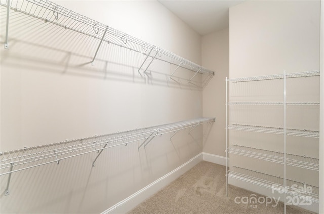 spacious closet with carpet flooring