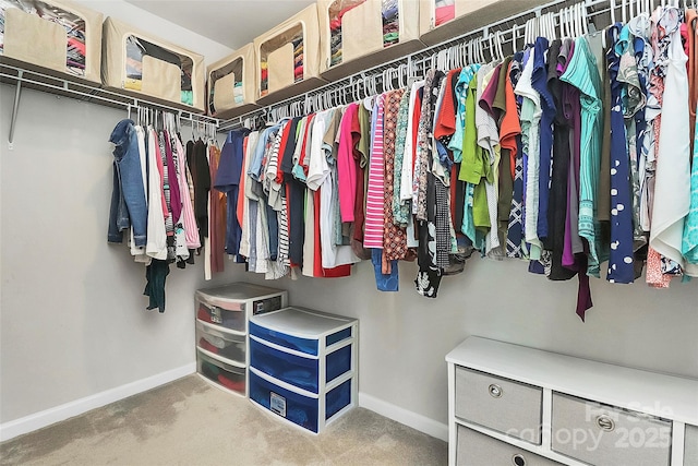 147 Morning Gap Pkwy, Fort Mill, SC 29715 - spacious closet with carpet floors