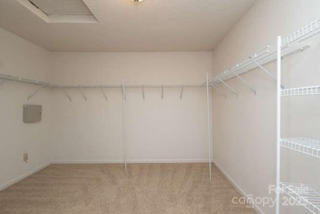 1965 Leesburg Dr, Clover, SC 29710 - walk in closet featuring carpet flooring