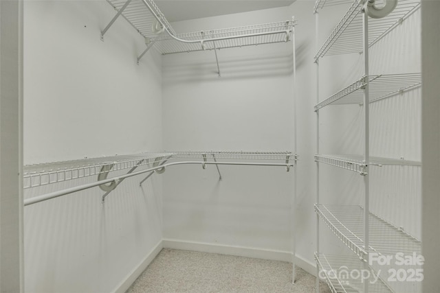 spacious closet with light carpet
