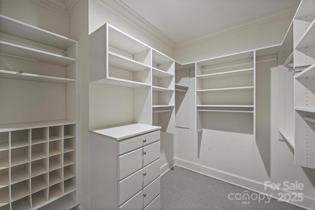 walk in closet featuring dark carpet