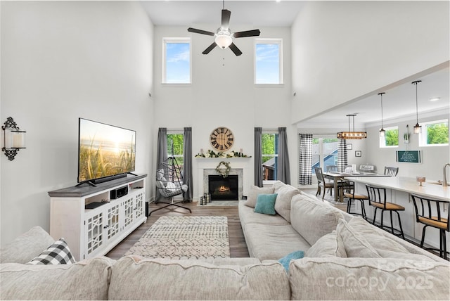 living area with a ceiling fan, plenty of natural light, a high ceiling, a fireplace, and dark wood-type flooring