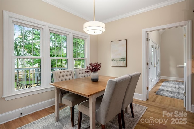 dining room with baseboards, a wealth of natural light, and crown molding