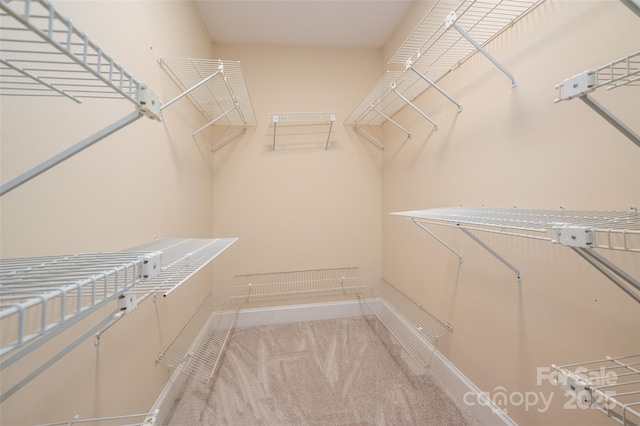 spacious closet featuring carpet floors