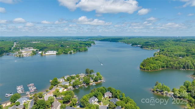 birds eye view of property featuring a water view and a wooded view