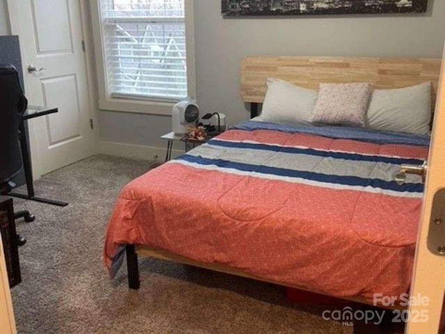 29 Woodbridge Park Dr, Asheville, NC 28803 - bedroom featuring carpet