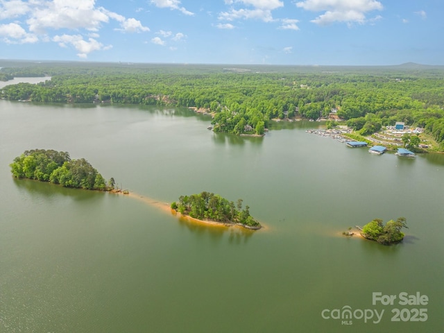 drone / aerial view with a forest view and a water view