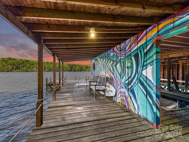 1278 Island Creek Dr, Troy, NC 27371 - dock area with boat lift and a water view
