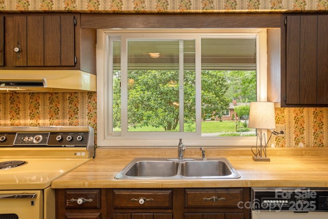 6 N Hudson Ln, Fletcher, NC 28732 - kitchen featuring range, a sink, dishwashing machine, dark brown cabinets, and wallpapered walls