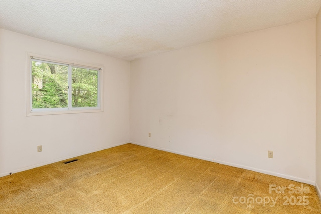 6 N Hudson Ln, Fletcher, NC 28732 - unfurnished room with light colored carpet, baseboards, and a textured ceiling