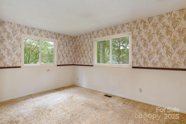 6 N Hudson Ln, Fletcher, NC 28732 - spare room with wallpapered walls, a textured ceiling, baseboards, and carpet flooring