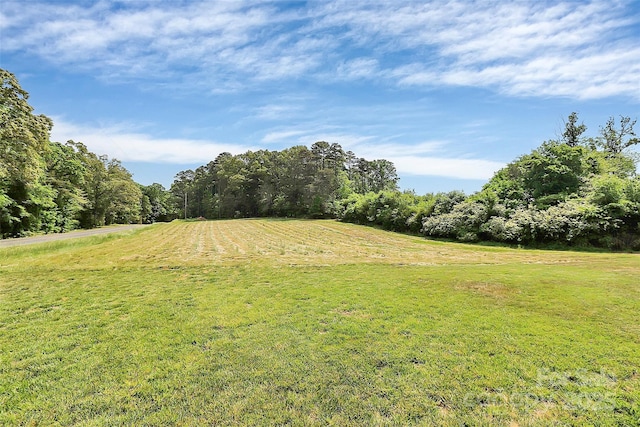 view of yard with a rural view
