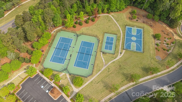 bird's eye view
