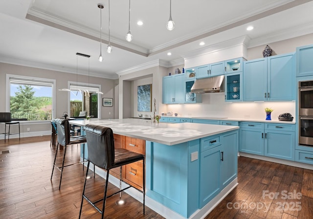 767 Pinnacle Dr, Iron Station, NC 28080 - kitchen featuring a raised ceiling, under cabinet range hood, and blue cabinetry
