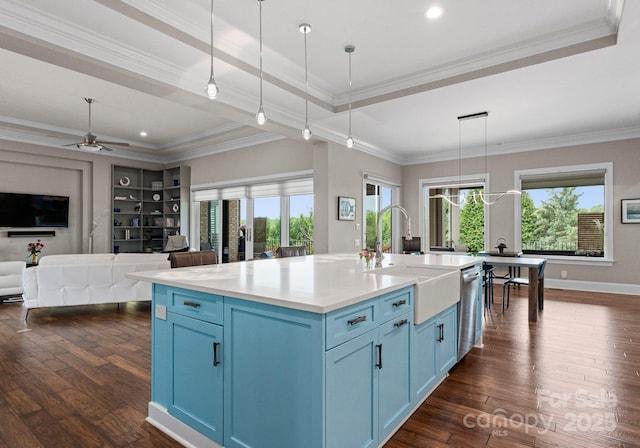 767 Pinnacle Dr, Iron Station, NC 28080 - kitchen with a sink, dishwasher, blue cabinetry, dark wood finished floors, and open floor plan