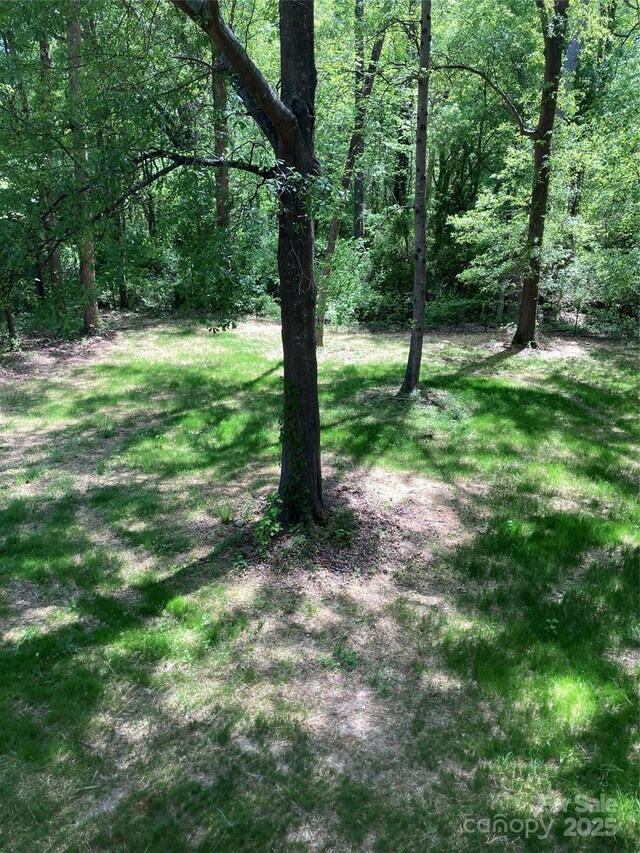 view of yard featuring a forest view