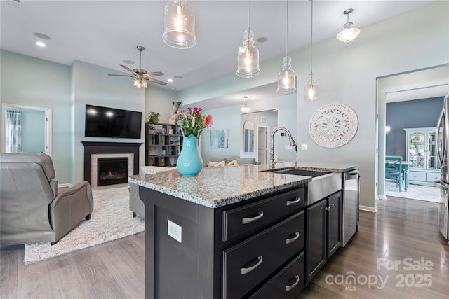 2124 Katie Alice Cir, Waxhaw, NC 28173 - kitchen with a sink, open floor plan, dark wood finished floors, stainless steel dishwasher, and a fireplace