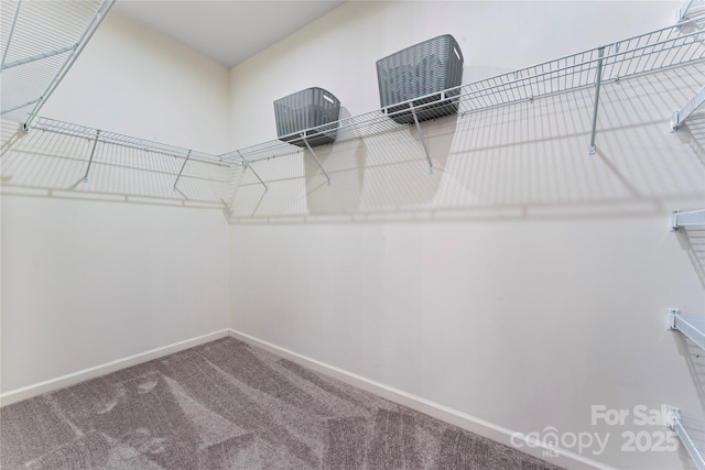 2124 Katie Alice Cir, Waxhaw, NC 28173 - spacious closet featuring carpet floors