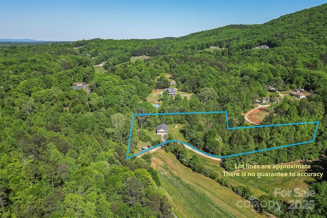 bird's eye view with a forest view