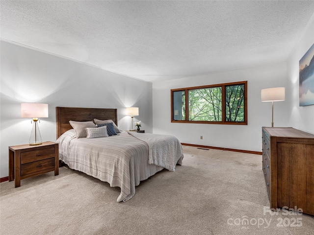 3 Governors Dr, Asheville, NC 28804 - bedroom with light colored carpet, a textured ceiling, and baseboards