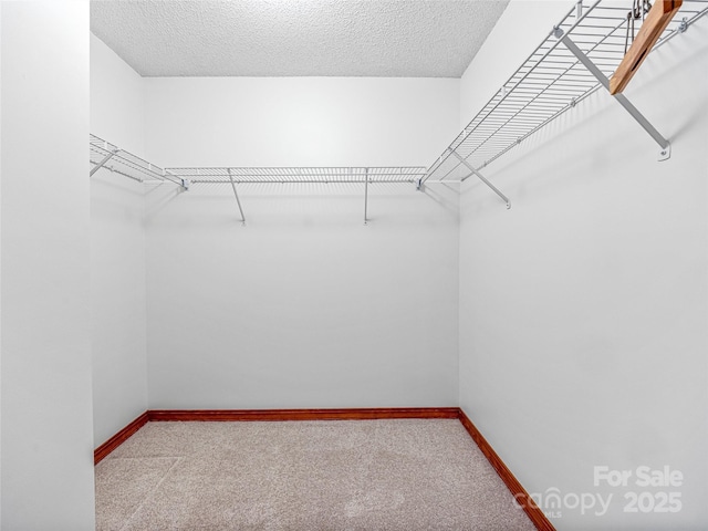 3 Governors Dr, Asheville, NC 28804 - walk in closet with carpet flooring